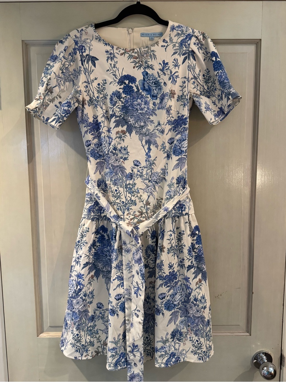 Antonio Melani Jesse Floral Print Puff Sleeve Dress in ivory and blue - Picture 3 of 10